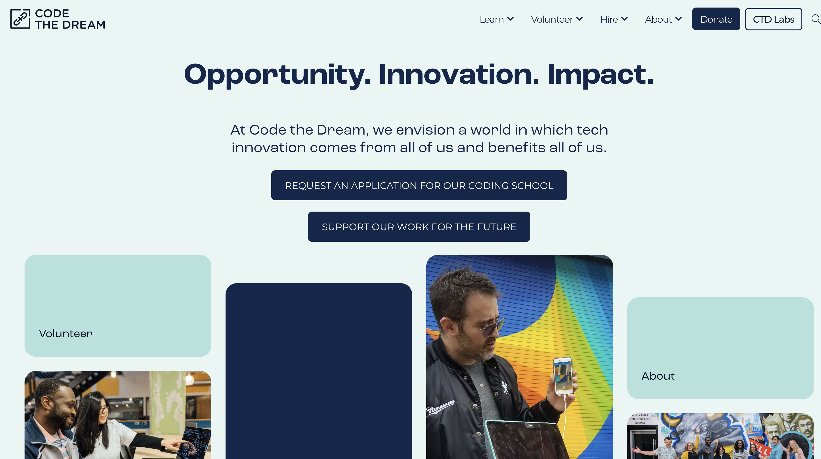Volunteer Mentor preview